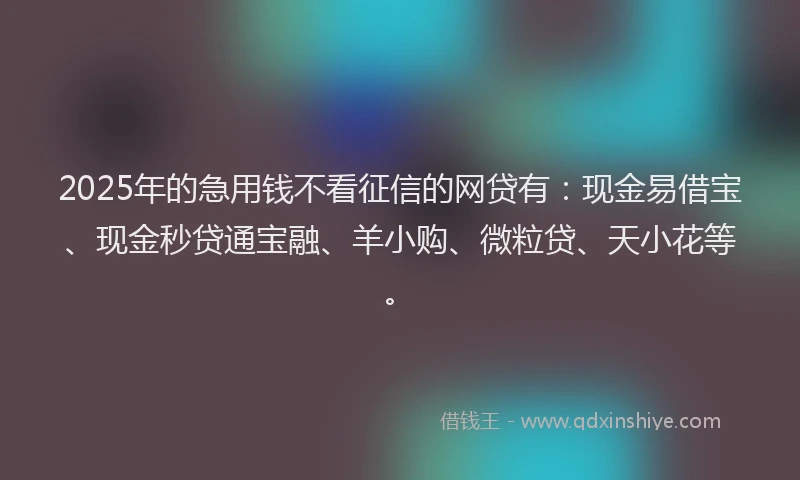 2025年的急用钱不看征信的网贷有：现金易借宝、现金秒贷通宝融、羊小购、微粒贷、天小花等。