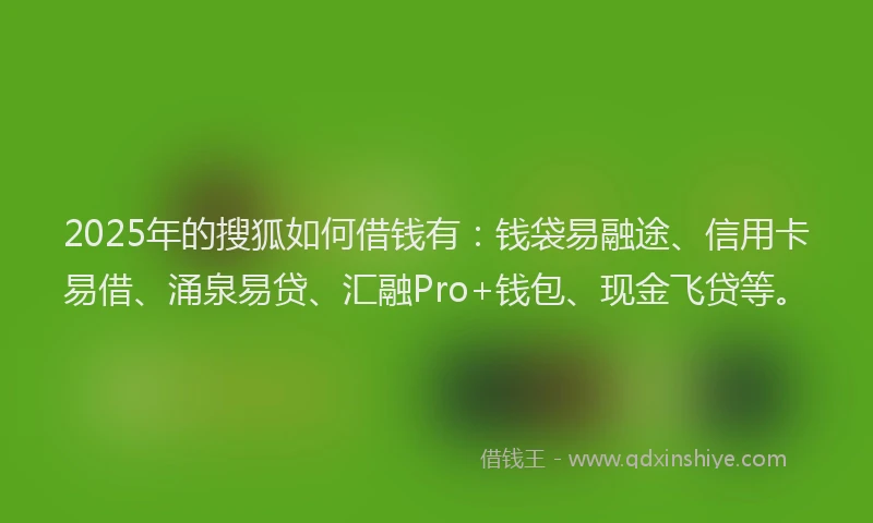 2025年的搜狐如何借钱有：钱袋易融途、信用卡易借、涌泉易贷、汇融Pro+钱包、现金飞贷等。