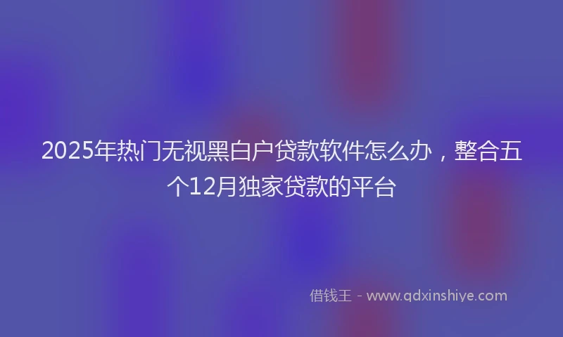 2025年热门无视黑白户贷款软件怎么办，整合五个12月独家贷款的平台