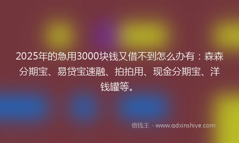 2025年的急用3000块钱又借不到怎么办有：森森分期宝、易贷宝速融、拍拍用、现金分期宝、洋钱罐等。