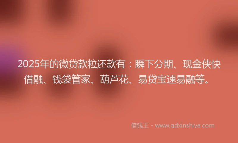 2025年的微贷款粒还款有：瞬下分期、现金侠快借融、钱袋管家、葫芦花、易贷宝速易融等。