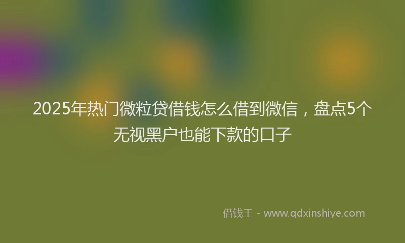 2025年热门微粒贷借钱怎么借到微信，盘点5个无视黑户也能下款的口子