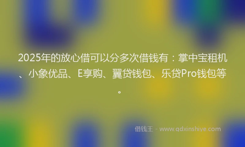 2025年的放心借可以分多次借钱有：掌中宝租机、小象优品、E享购、翼贷钱包、乐贷Pro钱包等。