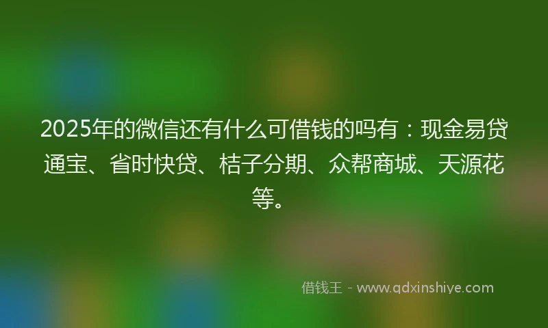 2025年的微信还有什么可借钱的吗有：现金易贷通宝、省时快贷、桔子分期、众帮商城、天源花等。