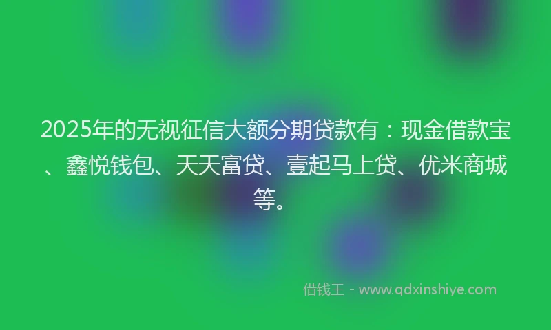 2025年的无视征信大额分期贷款有：现金借款宝、鑫悦钱包、天天富贷、壹起马上贷、优米商城等。