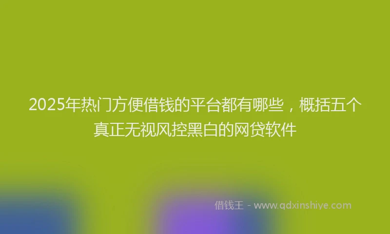 2025年热门方便借钱的平台都有哪些，概括五个真正无视风控黑白的网贷软件