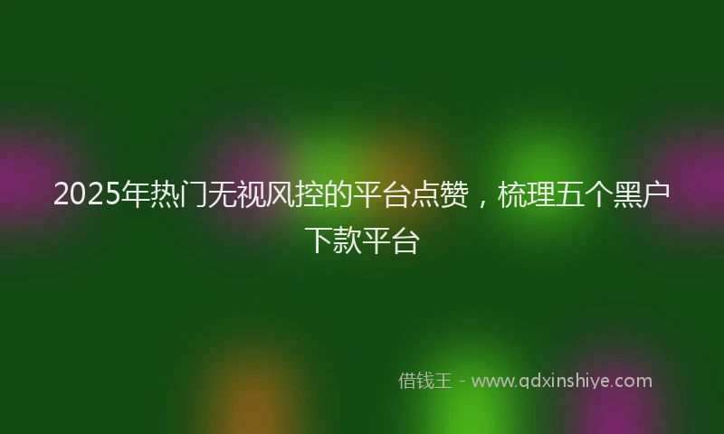 2025年热门无视风控的平台点赞，梳理五个黑户下款平台