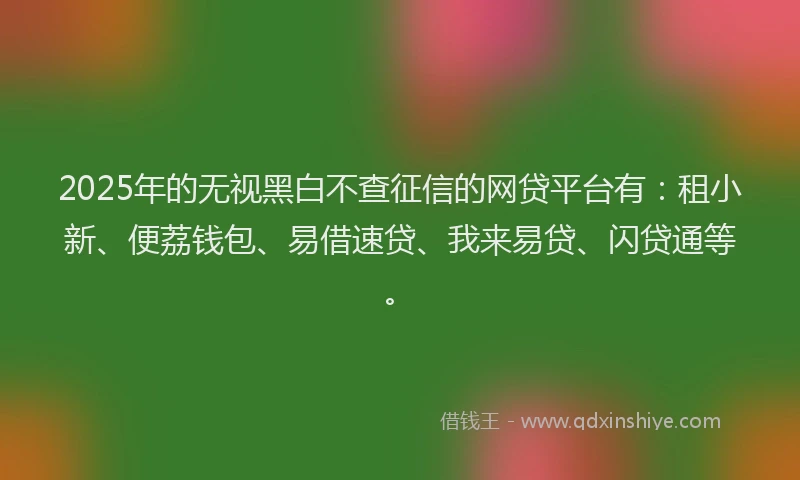 2025年的无视黑白不查征信的网贷平台有：租小新、便荔钱包、易借速贷、我来易贷、闪贷通等。