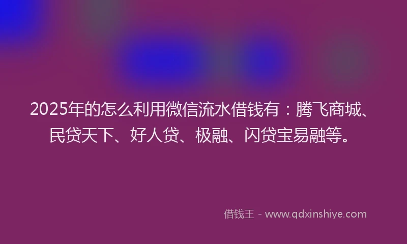 2025年的怎么利用微信流水借钱有：腾飞商城、民贷天下、好人贷、极融、闪贷宝易融等。