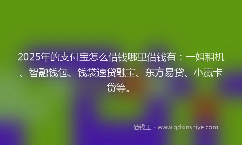2025年的支付宝怎么借钱哪里借钱有：一姐租机、智融钱包、钱袋速贷融宝、东方易贷、小赢卡贷等。