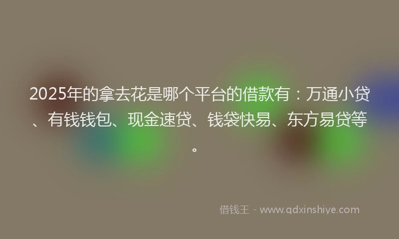 2025年的拿去花是哪个平台的借款有：万通小贷、有钱钱包、现金速贷、钱袋快易、东方易贷等。