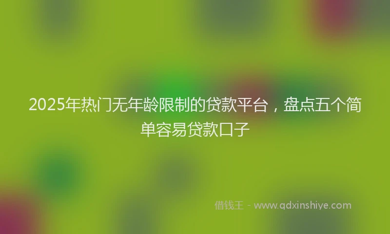 2025年热门无年龄限制的贷款平台，盘点五个简单容易贷款口子