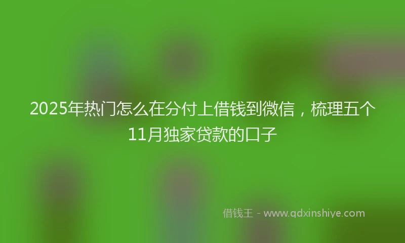 2025年热门怎么在分付上借钱到微信，梳理五个11月独家贷款的口子