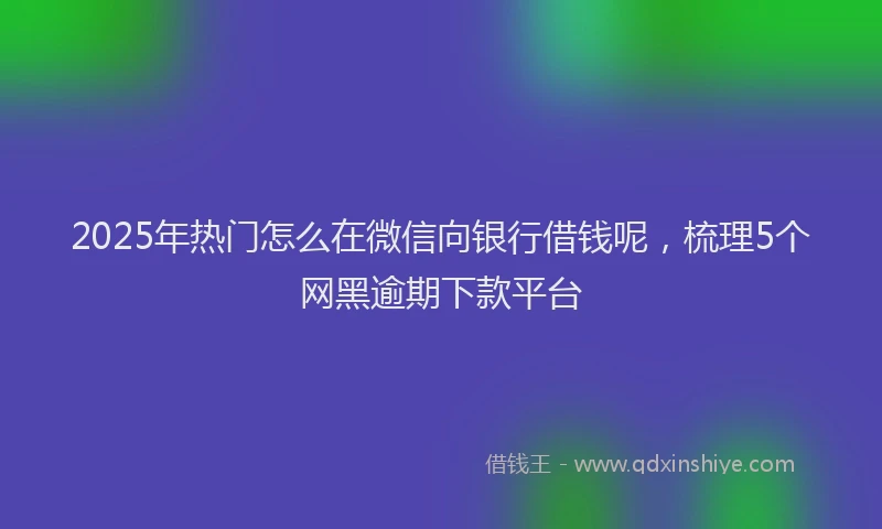 2025年热门怎么在微信向银行借钱呢，梳理5个网黑逾期下款平台
