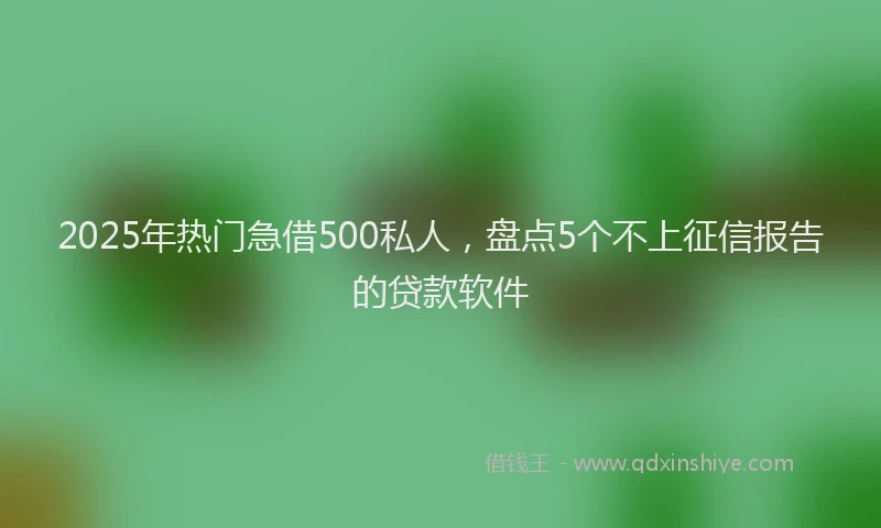 2025年热门急借500私人，盘点5个不上征信报告的贷款软件