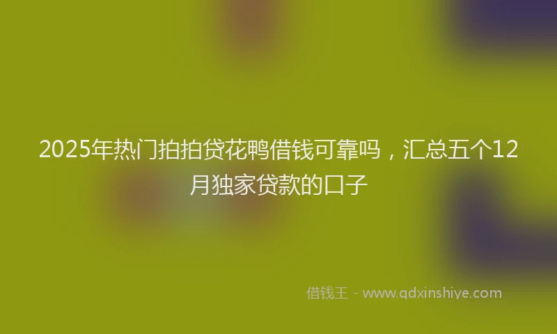 2025年热门拍拍贷花鸭借钱可靠吗，汇总五个12月独家贷款的口子