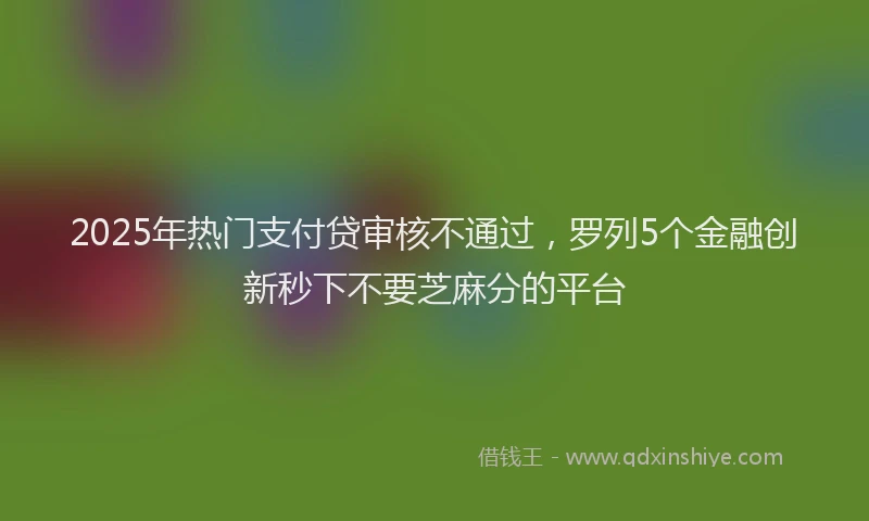2025年热门支付贷审核不通过，罗列5个金融创新秒下不要芝麻分的平台
