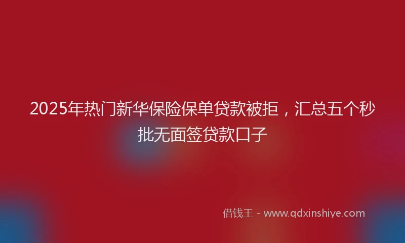 2025年热门新华保险保单贷款被拒，汇总五个秒批无面签贷款口子