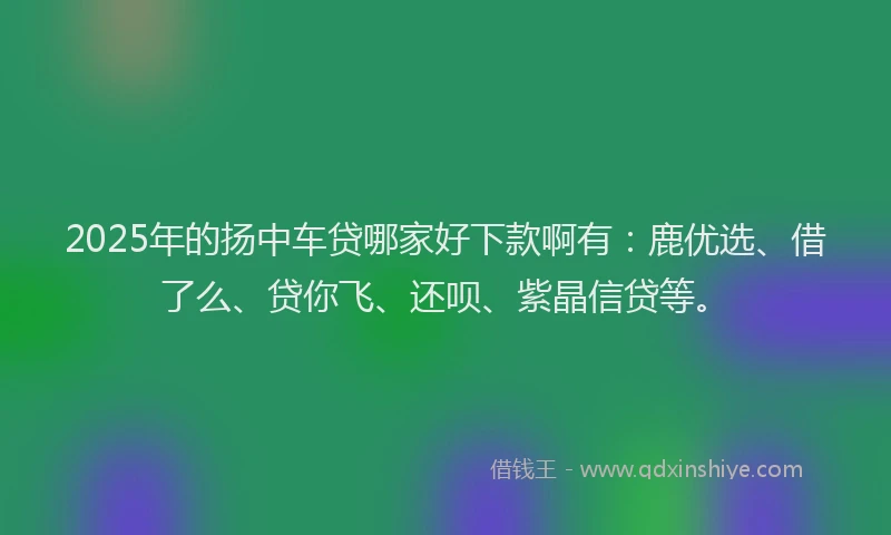 2025年的扬中车贷哪家好下款啊有：鹿优选、借了么、贷你飞、还呗、紫晶信贷等。