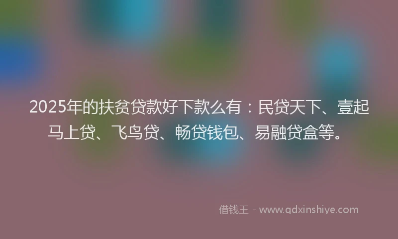 2025年的扶贫贷款好下款么有：民贷天下、壹起马上贷、飞鸟贷、畅贷钱包、易融贷盒等。