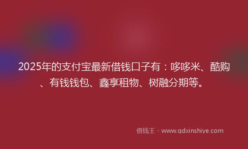 2025年的支付宝最新借钱口子有：哆哆米、酷购、有钱钱包、鑫享租物、树融分期等。