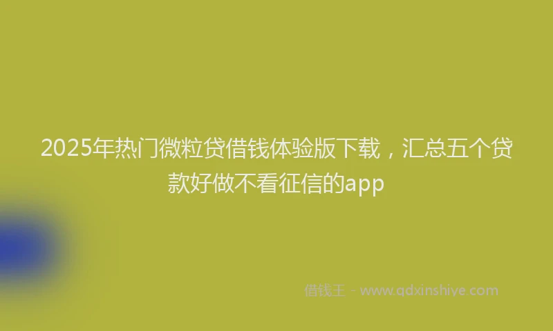 2025年热门微粒贷借钱体验版下载，汇总五个贷款好做不看征信的app