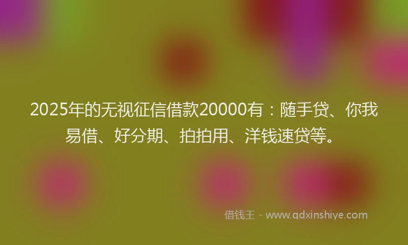 2025年的无视征信借款20000有：随手贷、你我易借、好分期、拍拍用、洋钱速贷等。