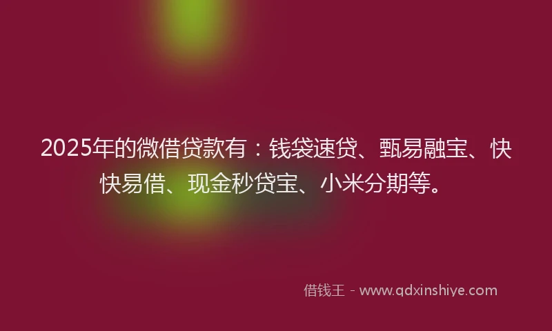2025年的微借贷款有：钱袋速贷、甄易融宝、快快易借、现金秒贷宝、小米分期等。