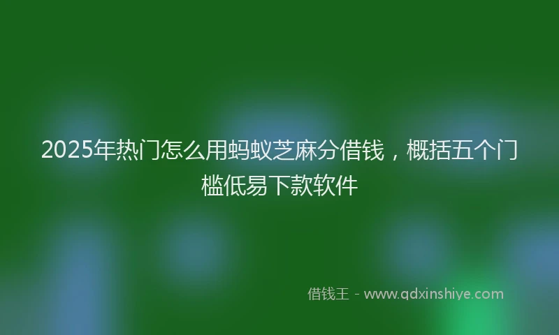 2025年热门怎么用蚂蚁芝麻分借钱，概括五个门槛低易下款软件