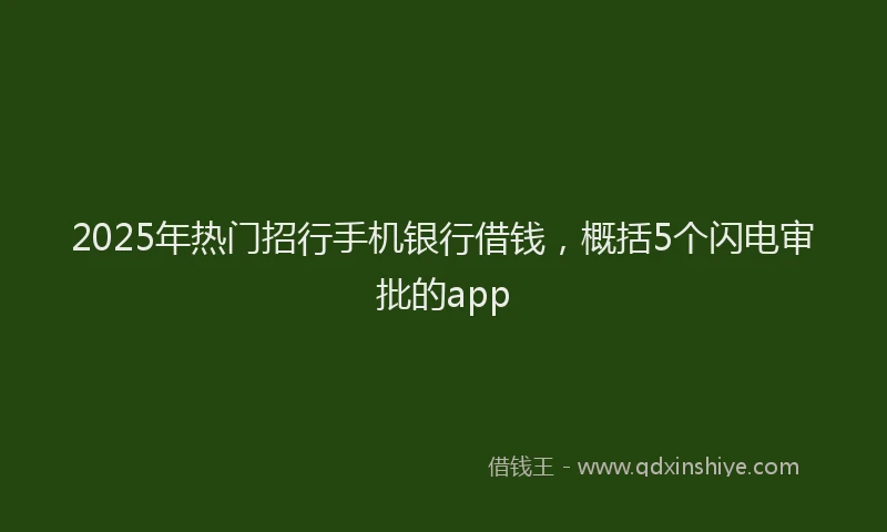 2025年热门招行手机银行借钱，概括5个闪电审批的app