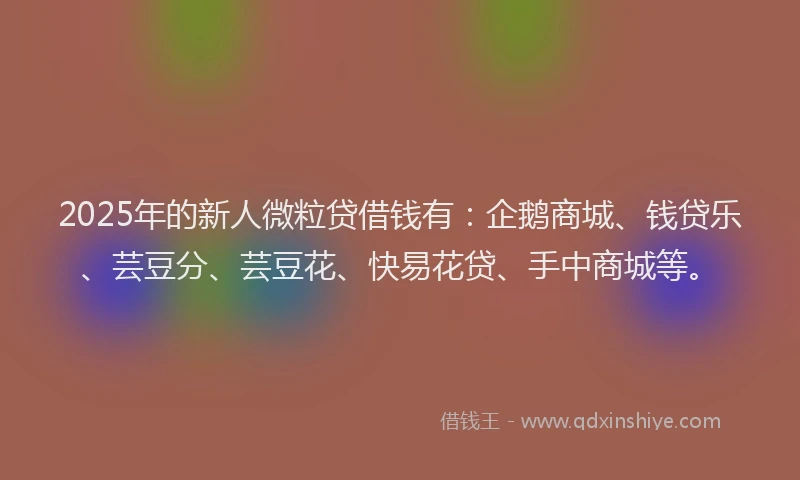 2025年的新人微粒贷借钱有：企鹅商城、钱贷乐、芸豆分、芸豆花、快易花贷、手中商城等。