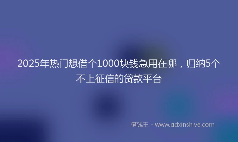 2025年热门想借个1000块钱急用在哪，归纳5个不上征信的贷款平台