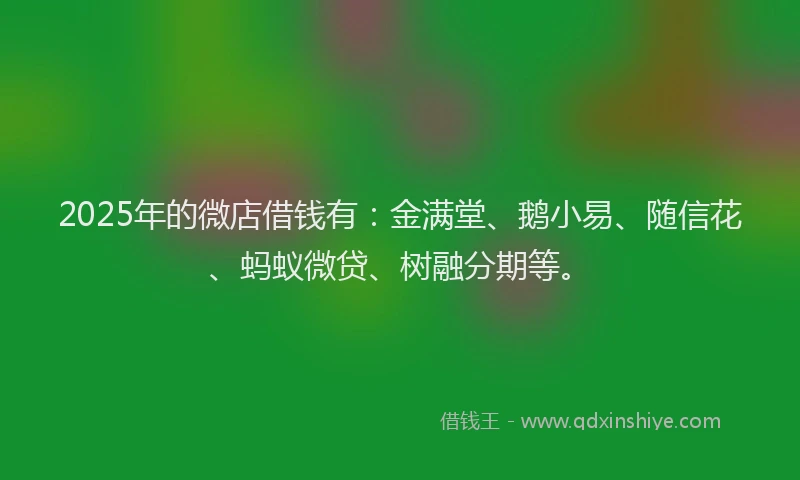 2025年的微店借钱有：金满堂、鹅小易、随信花、蚂蚁微贷、树融分期等。