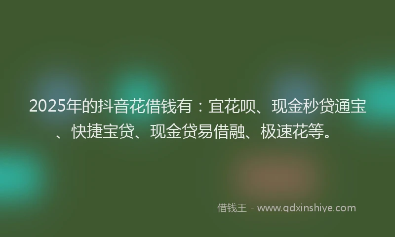 2025年的抖音花借钱有：宜花呗、现金秒贷通宝、快捷宝贷、现金贷易借融、极速花等。