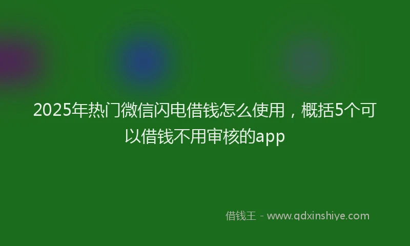 2025年热门微信闪电借钱怎么使用，概括5个可以借钱不用审核的app