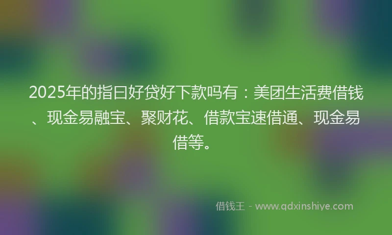 2025年的指曰好贷好下款吗有：美团生活费借钱、现金易融宝、聚财花、借款宝速借通、现金易借等。