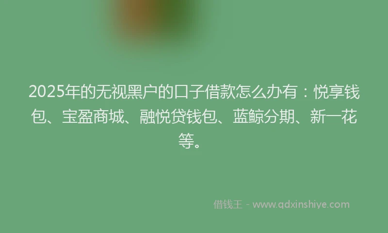 2025年的无视黑户的口子借款怎么办有：悦享钱包、宝盈商城、融悦贷钱包、蓝鲸分期、新一花等。
