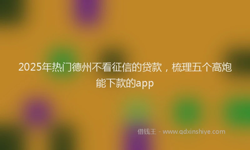 2025年热门德州不看征信的贷款，梳理五个高炮能下款的app
