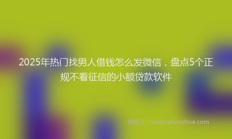 2025年热门找男人借钱怎么发微信，盘点5个正规不看征信的小额贷款软件