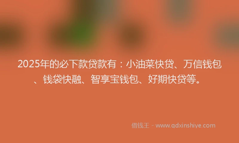 2025年的必下款贷款有：小油菜快贷、万信钱包、钱袋快融、智享宝钱包、好期快贷等。