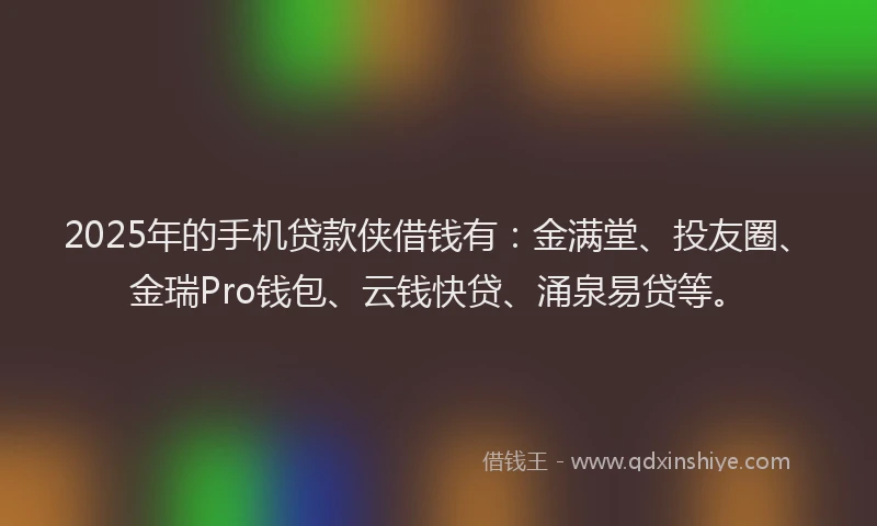 2025年的手机贷款侠借钱有：金满堂、投友圈、金瑞Pro钱包、云钱快贷、涌泉易贷等。