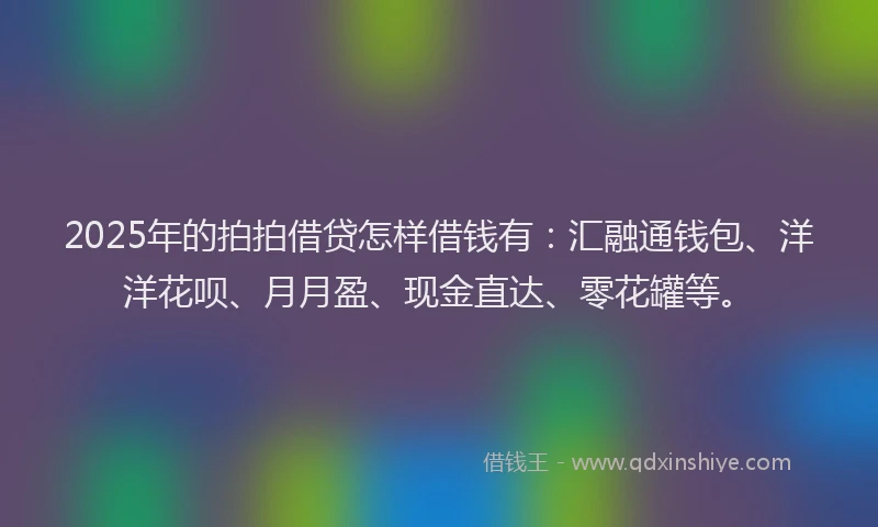 2025年的拍拍借贷怎样借钱有：汇融通钱包、洋洋花呗、月月盈、现金直达、零花罐等。