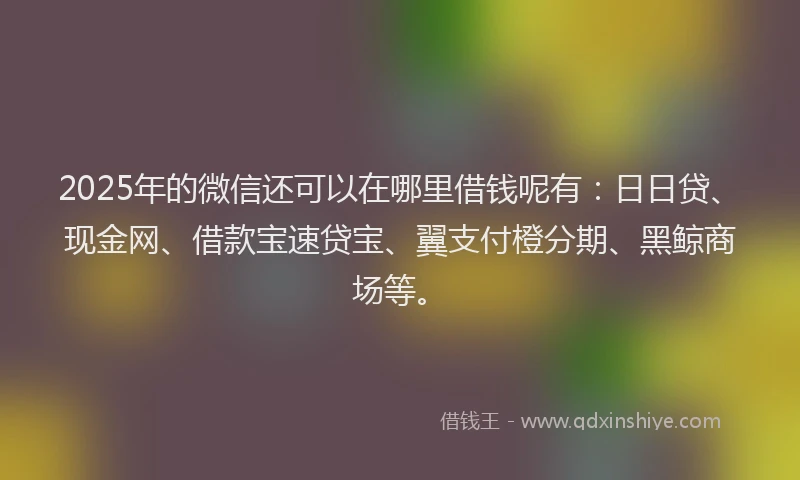 2025年的微信还可以在哪里借钱呢有：日日贷、现金网、借款宝速贷宝、翼支付橙分期、黑鲸商场等。