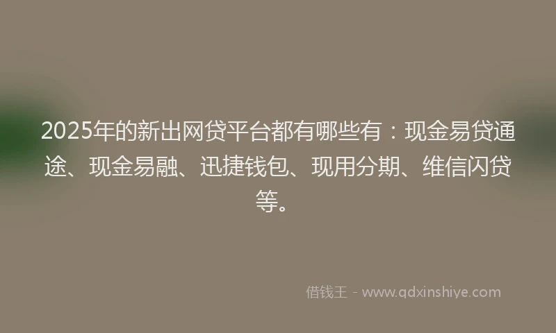 2025年的新出网贷平台都有哪些有：现金易贷通途、现金易融、迅捷钱包、现用分期、维信闪贷等。