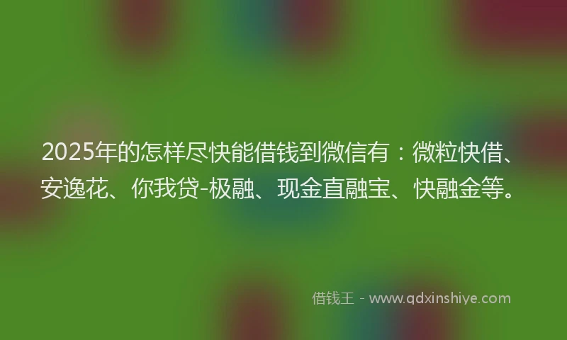 2025年的怎样尽快能借钱到微信有：微粒快借、安逸花、你我贷-极融、现金直融宝、快融金等。