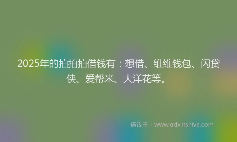 2025年的拍拍拍借钱有：想借、维维钱包、闪贷侠、爱帮米、大洋花等。