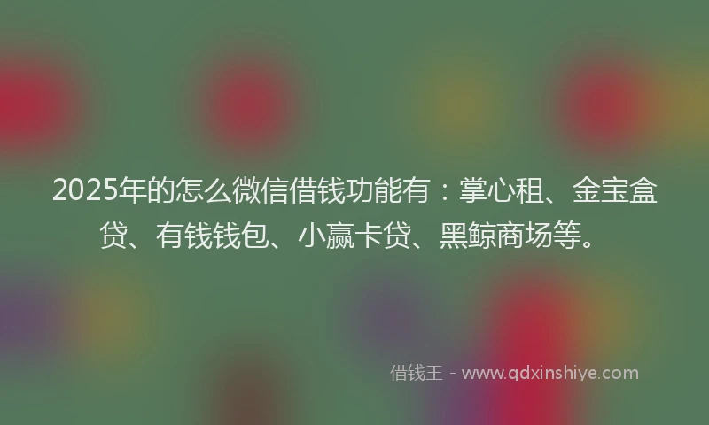 2025年的怎么微信借钱功能有：掌心租、金宝盒贷、有钱钱包、小赢卡贷、黑鲸商场等。