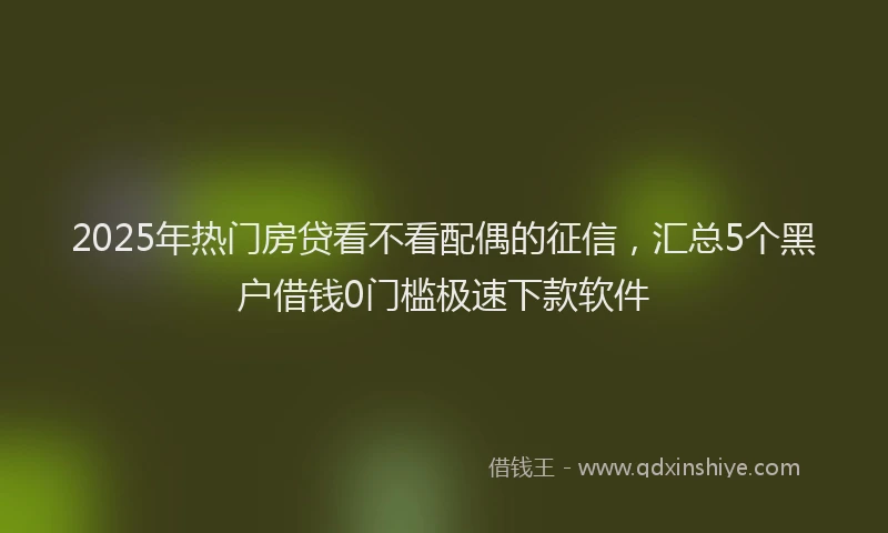 2025年热门房贷看不看配偶的征信，汇总5个黑户借钱0门槛极速下款软件