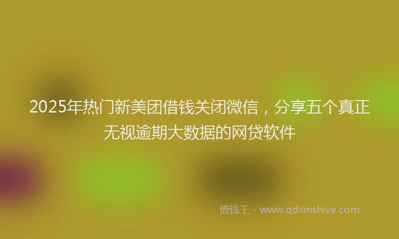 2025年热门新美团借钱关闭微信，分享五个真正无视逾期大数据的网贷软件