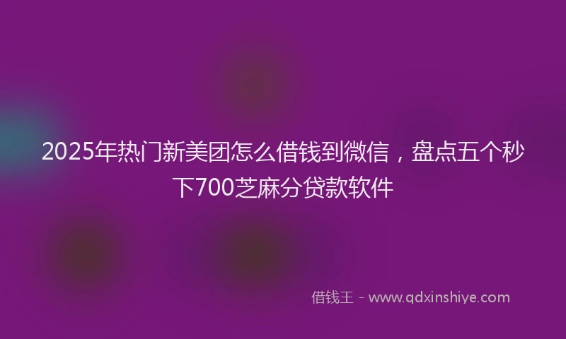 2025年热门新美团怎么借钱到微信，盘点五个秒下700芝麻分贷款软件